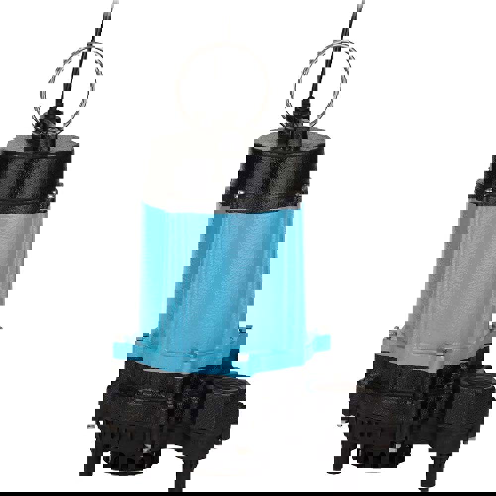 Manual Sewage & Effluent Pump: Manual, 1/2 hp, 6.5A, 115V